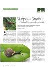 Slugs Snails: