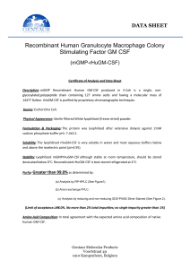 Recombinant Human Granulocyte Macrophage Colony Stimulating