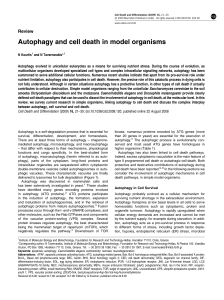 Autophagy and cell death in model organisms
