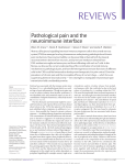 Pathological pain and the neuroimmune interface