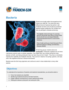 Bacteria - Pandem-Sim