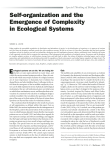 Self-organization and the Emergence of Complexity in