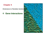 Gene Interactions – Extensions to Mendelian Genetics