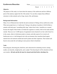 Earthworm Dissection