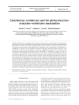 Endothermy, ectothermy and the global structure of marine