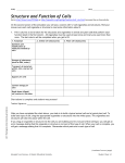 Structure and Function of Cells
