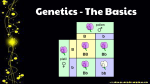 Genetics - The Basics