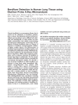 Beryllium Detection in Human Lung Tissue using Electron