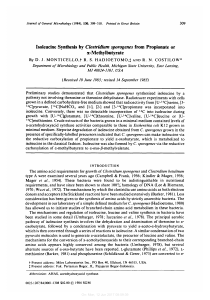 Isoleucine Synthesis by Clostridium sporogenes from