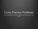 Practice Crosses
