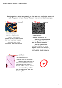 bacteria shapes, structure, reproduction