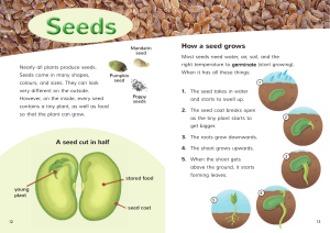 Seeds - Instructional Series