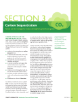Section 3 Overview