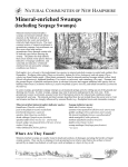 Mineral-enriched Swamps - NH Division of Forests and Lands