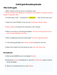 Cell Cycle Reading Guide The Cell cycle