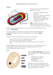 B6 Understanding microbes