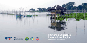 Restoring Balance in Laguna Lake Region