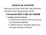 CELLULAR GROWTH 3 Reasons Why Cells Are Small