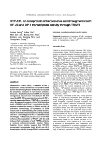 STP-A11, an oncoprotein of Herpesvirus saimiri augments