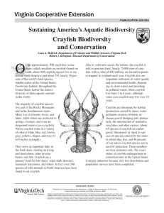 Crayfish Biodiversity and Conservation