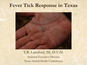 Fever Tick Response in Texas
