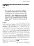 Phosphoinositide regulation of clathrin