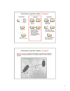 1 Transmission of genetic variation: conjugation Transmission of