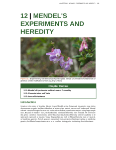 12 | mendel`s experiments and heredity