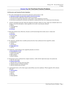 Answer Key for Final Exam Practice Problems