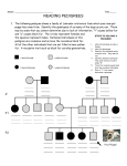 READING PEDIGREES