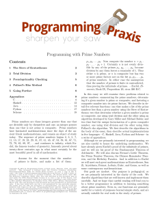 Programming with Prime Numbers