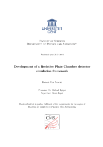 Development of a Resistive Plate Chamber detector simulation