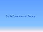 social structure - Steilacoom School District