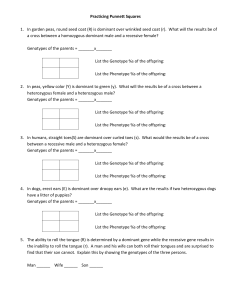 Practicing Punnett Squares 1. In garden peas, round seed coat (R