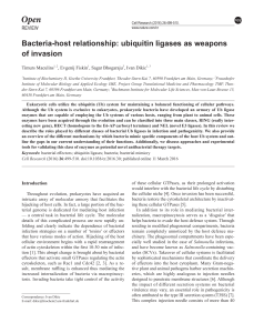 Bacteria-host relationship: ubiquitin ligases as weapons of