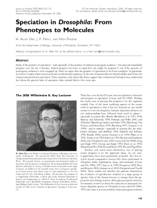 Speciation in Drosophila: From Phenotypes to Molecules