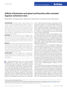 Deficits of brainstem and spinal cord functions after