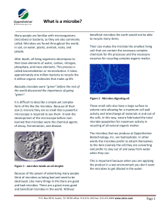 What is a microbe? - Oppenheimer Biotechnology, Inc.