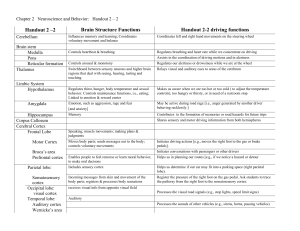 Handout 2 –2 Brain Structure Functions Handout 2-2 driving