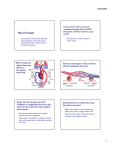 Blood Vessels