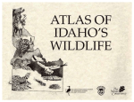 Digital Atlas of Idaho`s Wildlife