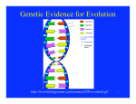 Genetic Evidence for Evolution