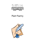 Plant Poetry - The Flower Fields