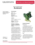 Kohlrabi (Home Gardening Series) - FSA6089