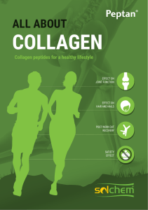 collagen - SOLCHEM NATURE SLU