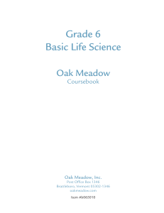 Grade 6 Basic Life Science