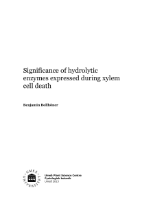 Significance of hydrolytic enzymes expressed during xylem