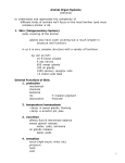 Animals Organ Systems - Austin Community College