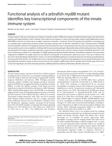 Functional analysis of a zebrafish myd88 mutant identifies key