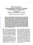 Effect of Ischemia on Calcium-Dependent Fluorescence